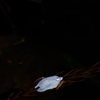 K5IM0238_Resize