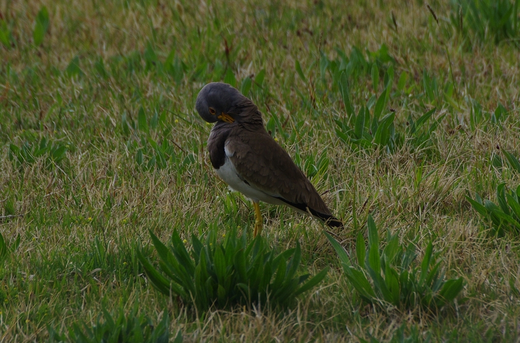 K5IM9303t_Resize