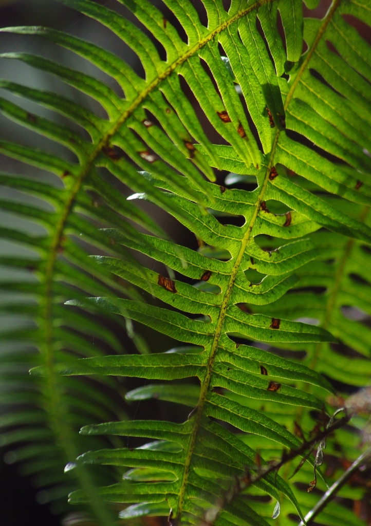 K5IM9769_Resize