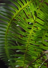K5IM9769_Resize