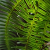 K5IM9769_Resize