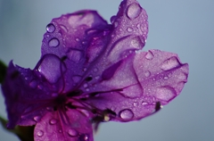 K5IM9537_Resize
