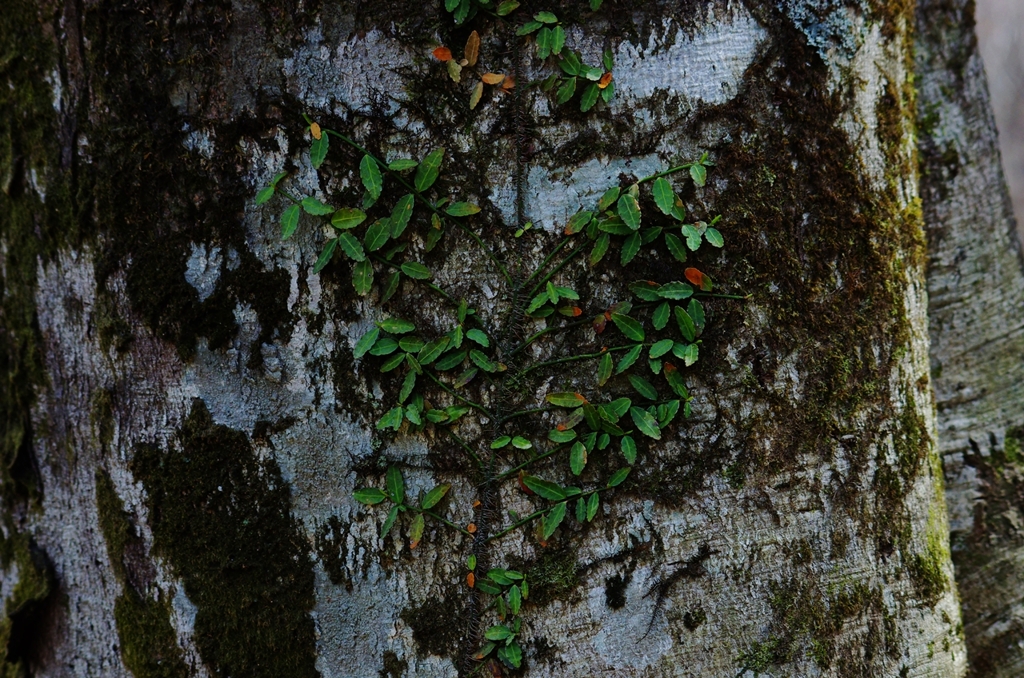 K5IM0346_Resize