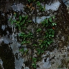 K5IM0346_Resize