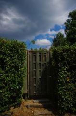 K5IM2584_Resize