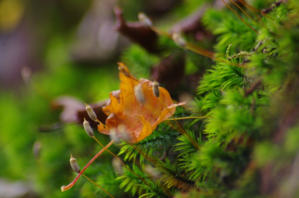 K5IM3164_Resize