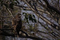 __IGP7139_Resize