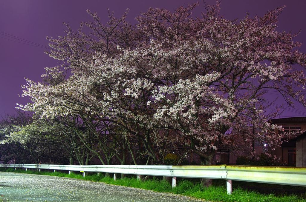 K5IM9228_Resize