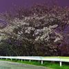 K5IM9228_Resize