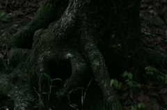 K5IM9625_Resize
