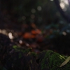 K5IM3421_Resize
