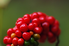 K5IM3009_Resize
