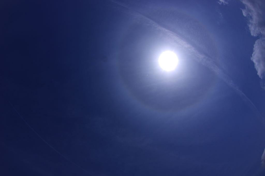 K5IM0366_Resize