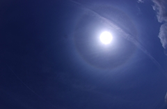 K5IM0366_Resize