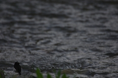 K5IM9572_Resize