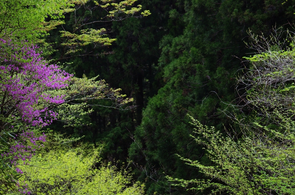 K5IM0501_Resize