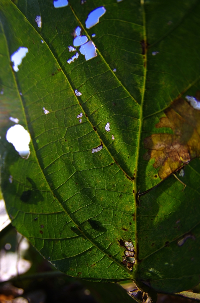 K5IM3574_Resize