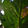K5IM3574_Resize