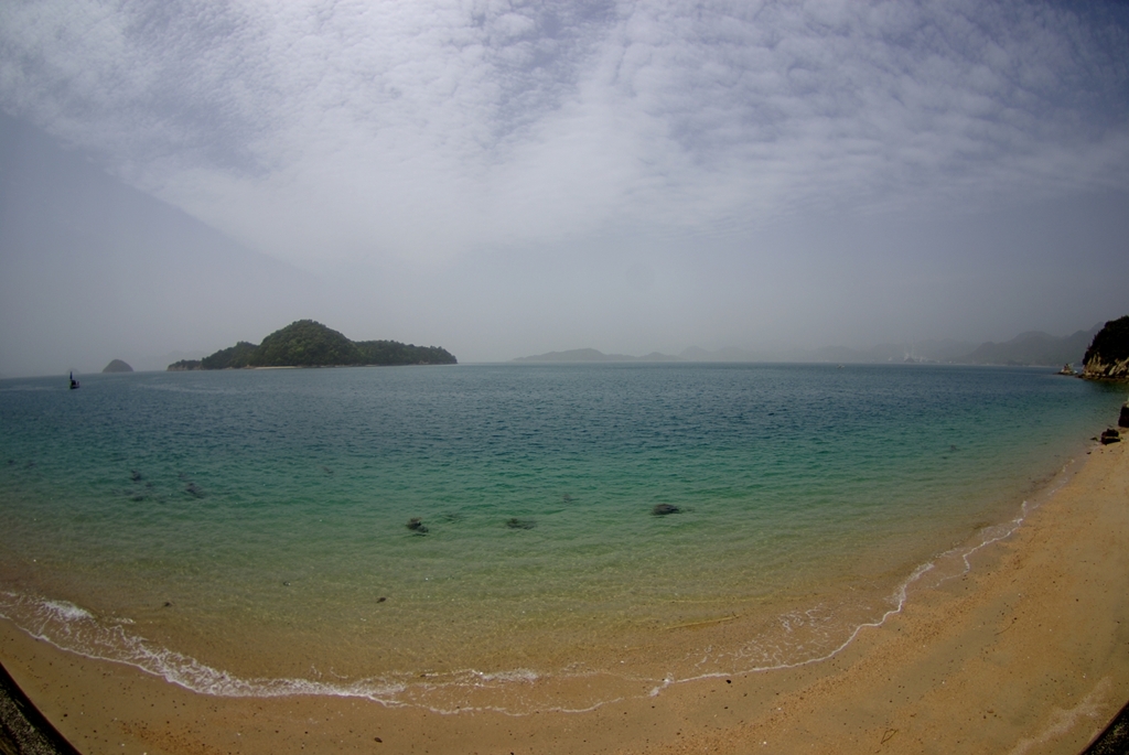 IMGP8340_Resize