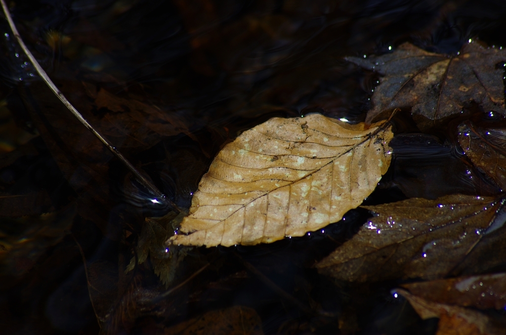 K5IM0349_Resize