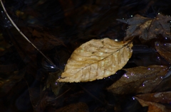 K5IM0349_Resize
