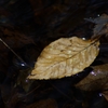 K5IM0349_Resize