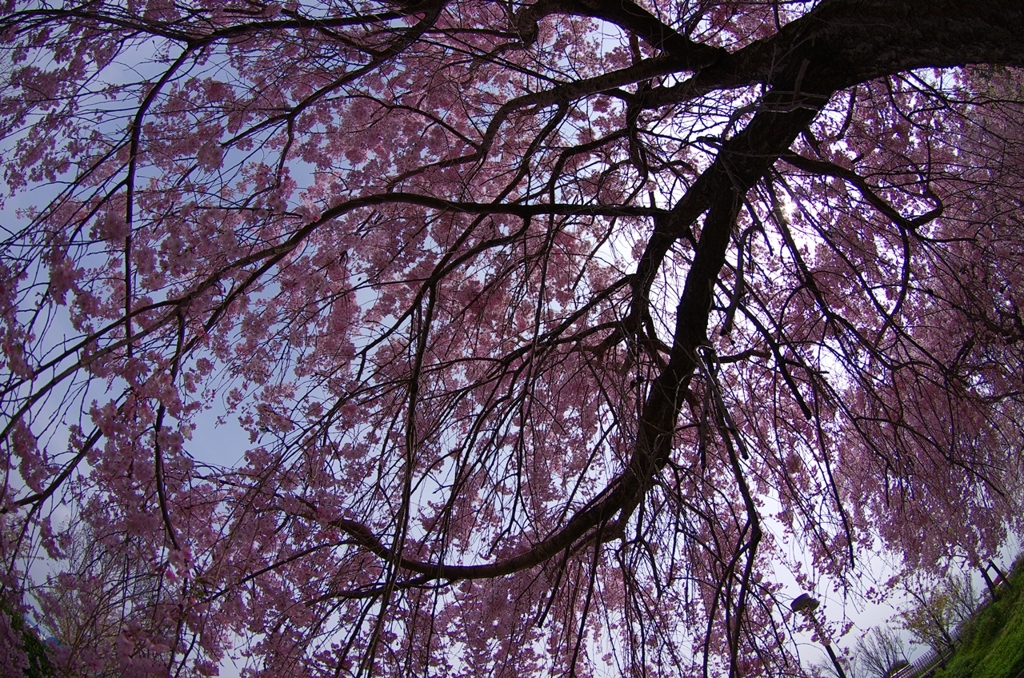 K5IM9470_Resize