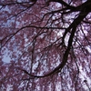 K5IM9470_Resize