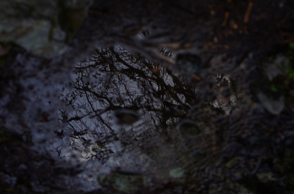 K5IM0263_Resize