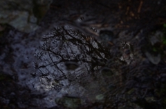 K5IM0263_Resize