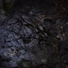 K5IM0263_Resize