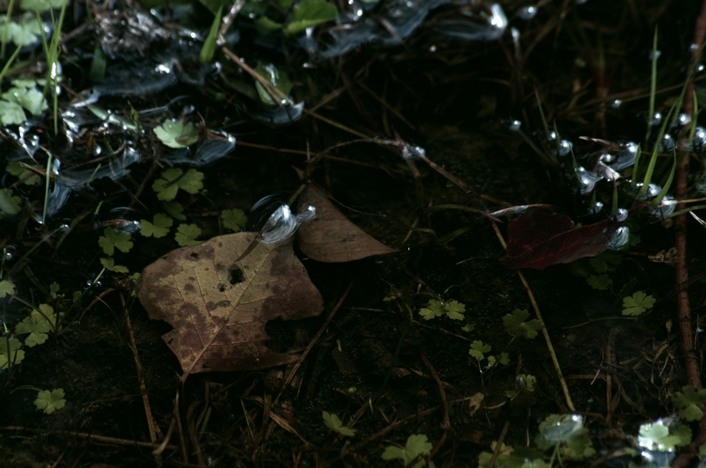 K5IM3775_Resize