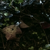 K5IM3775_Resize