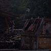 K5IM8185_Resize