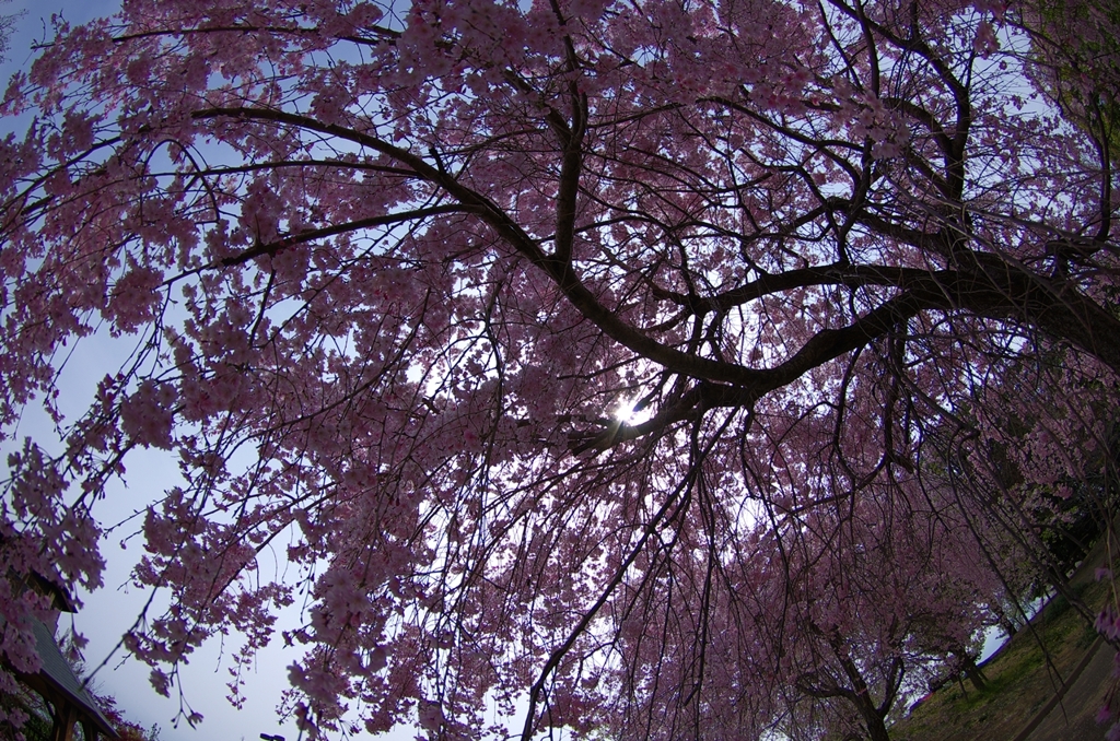 K5IM9469_Resize