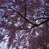K5IM9469_Resize