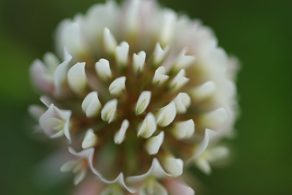 IMGP8457_R