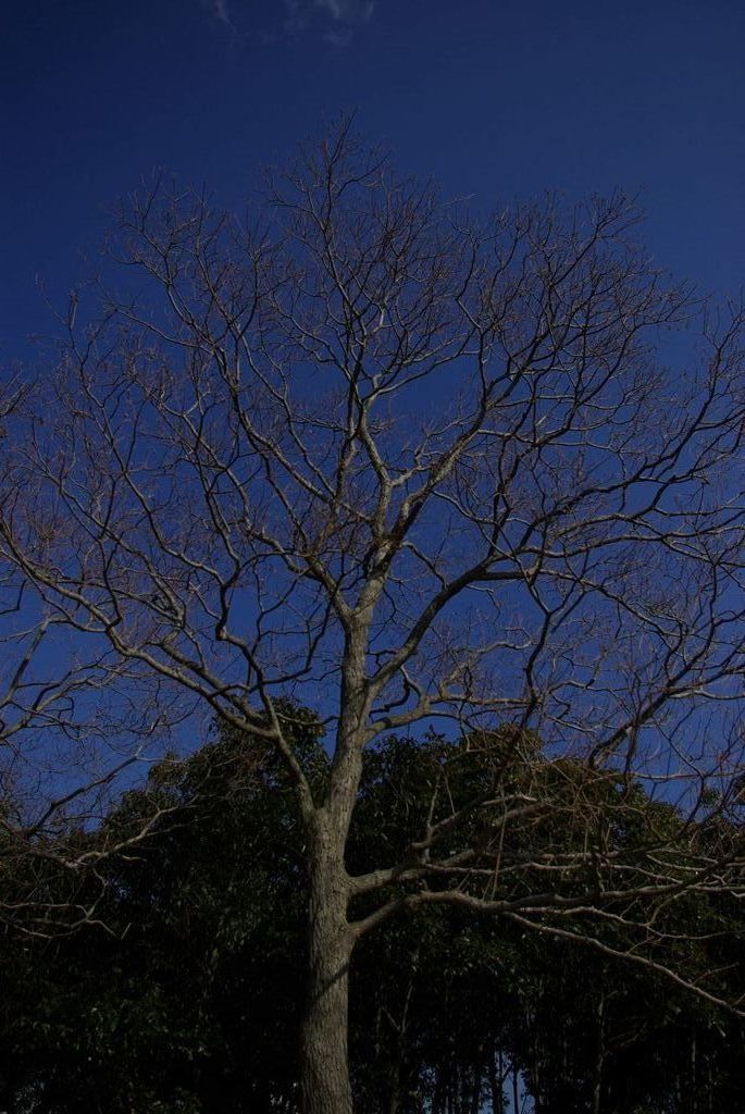 IMGP8122_Resize