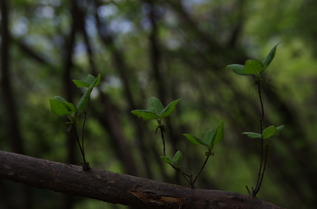 K5IM9635_Resize