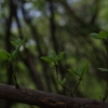 K5IM9635_Resize