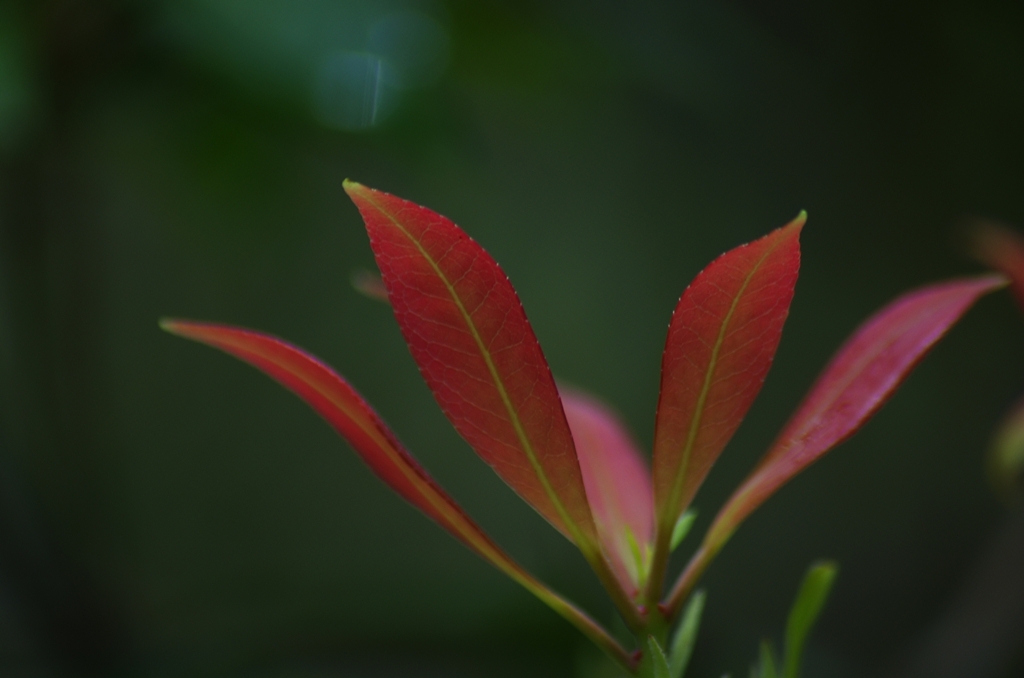 K5IM9650_Resize