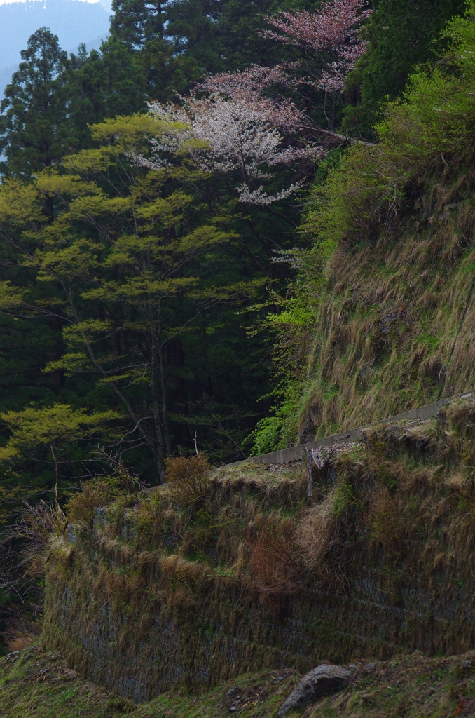 K5IM0483_Resize