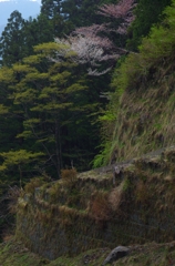 K5IM0483_Resize