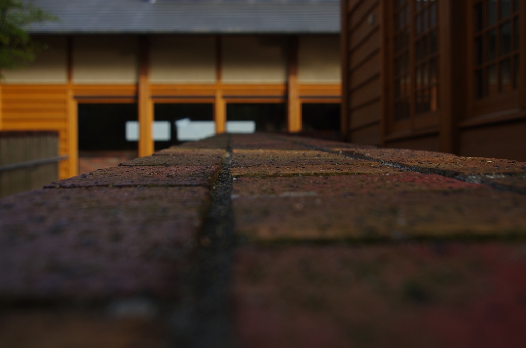 K5IM0080_Resize