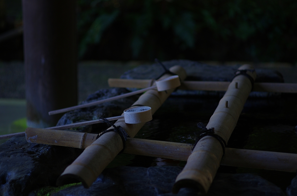 K5IM3534_Resize