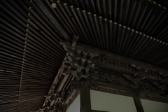 IMGP0379_R