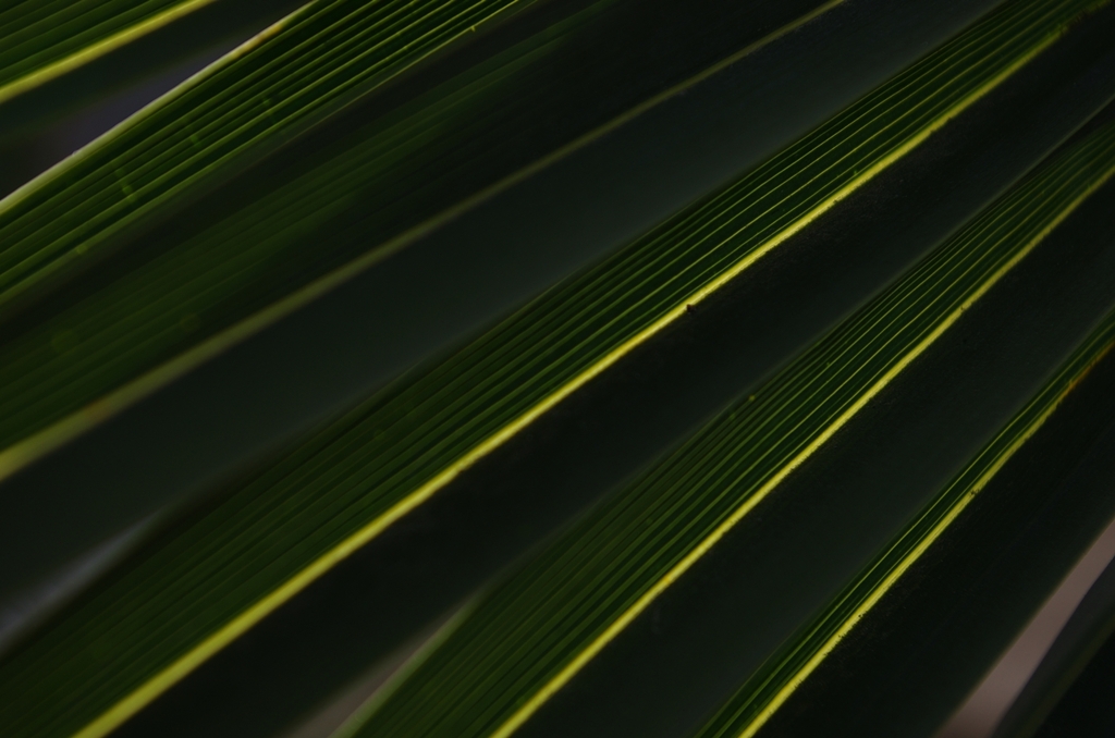 K5IM0088_Resize
