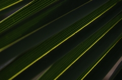 K5IM0088_Resize