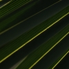 K5IM0088_Resize