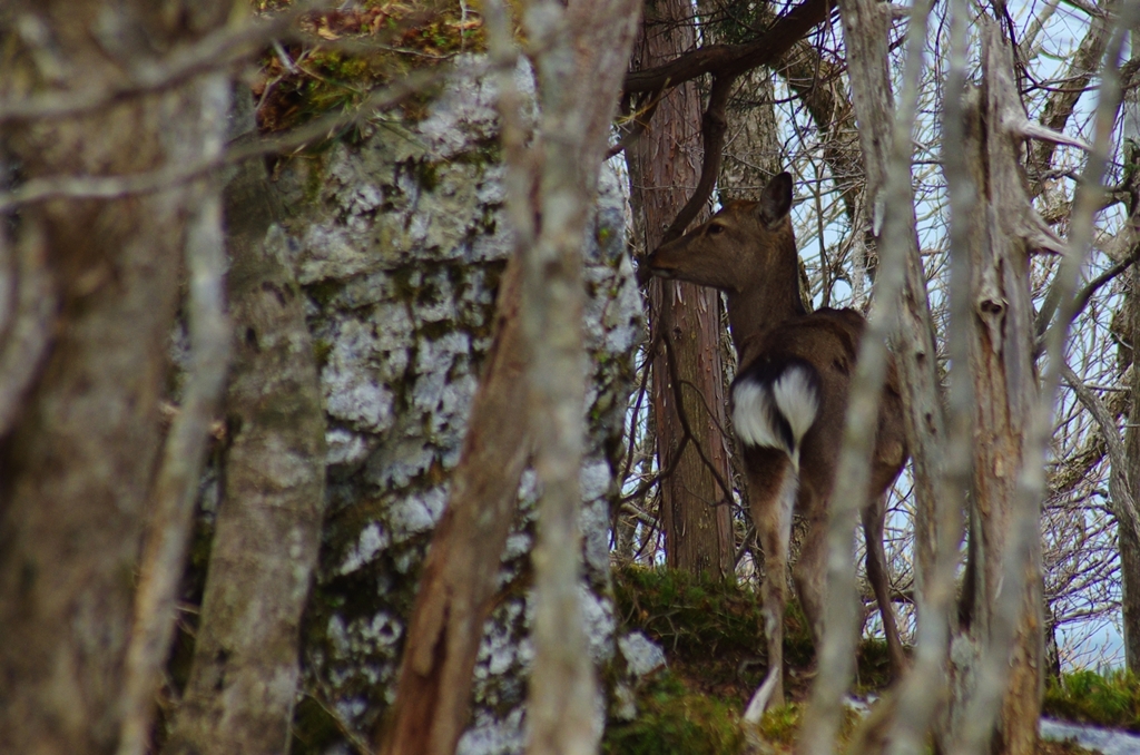 K5IM0392_Resize